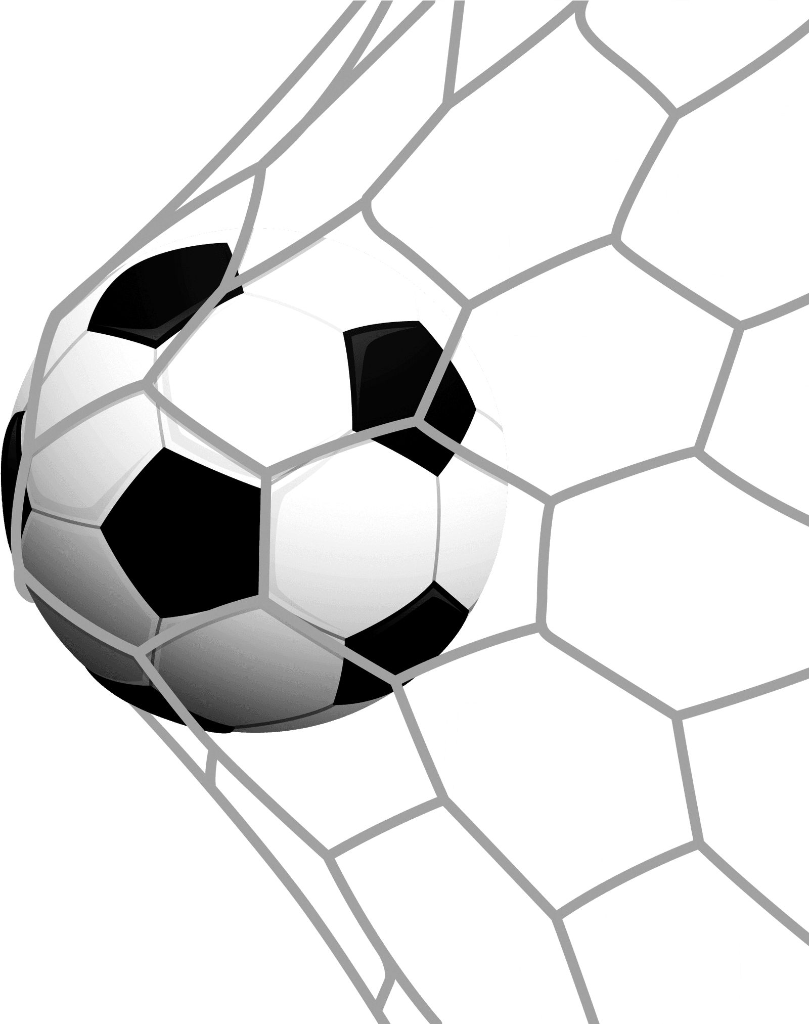 Types of bets on the bookmaker's website