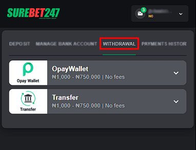 Withdrawal methods at Surebet247